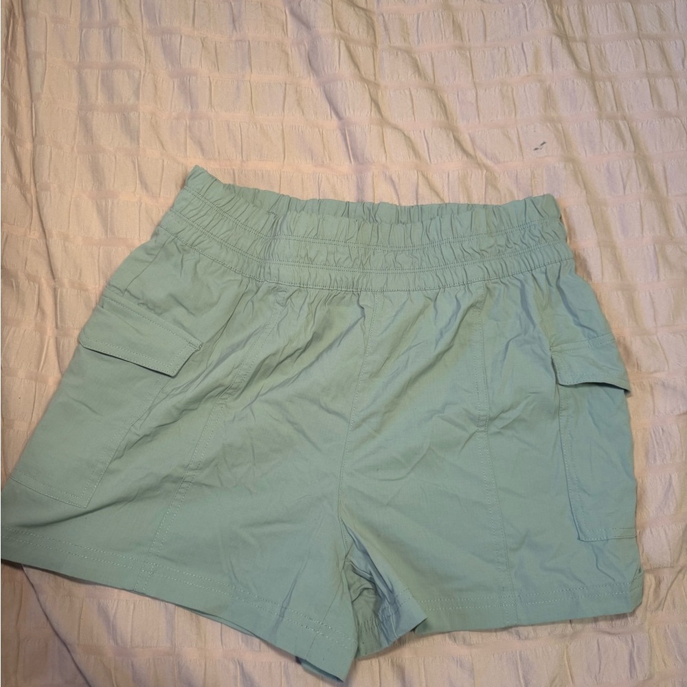Yogalicious Sage Green Active / Hiking Shorts